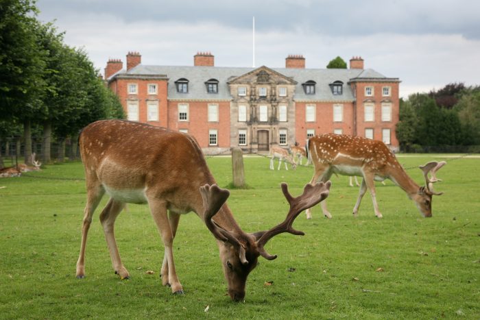 Count the deer at Dunham Massey with a Wingly flight