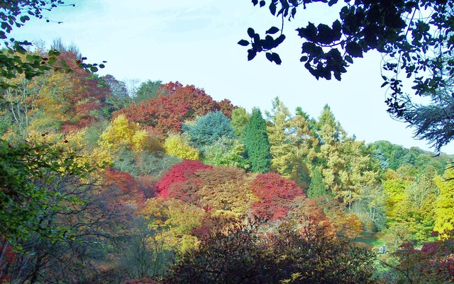 Discover Winkworth Arboretum from a sightseeing flight