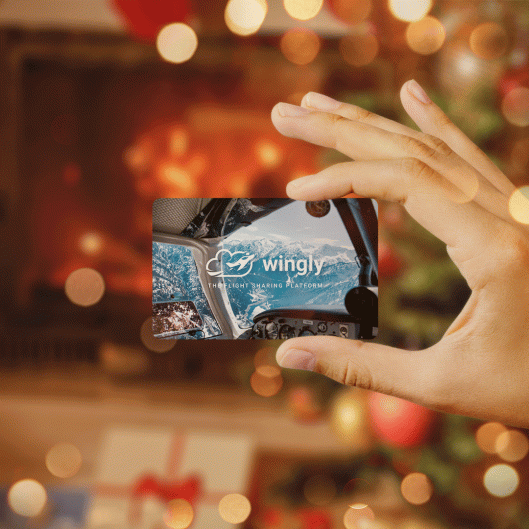 Gift a Wingly Gift Card this Christmas